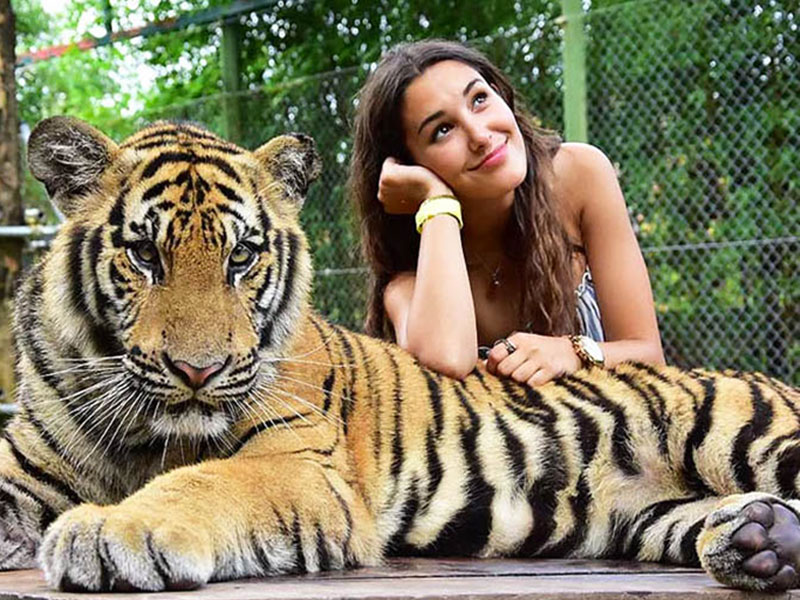 Tiger Kingdom Tour Phuket