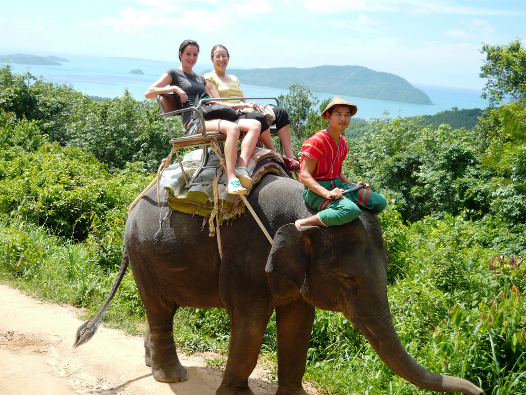 phuket elephant excursion