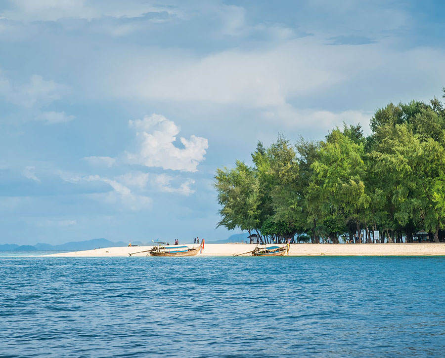 Phi Phi Bamboo SpeedBoat Tour